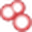 Shodan icon